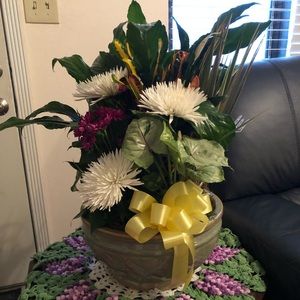 Meet your Posher, Aurora teresa